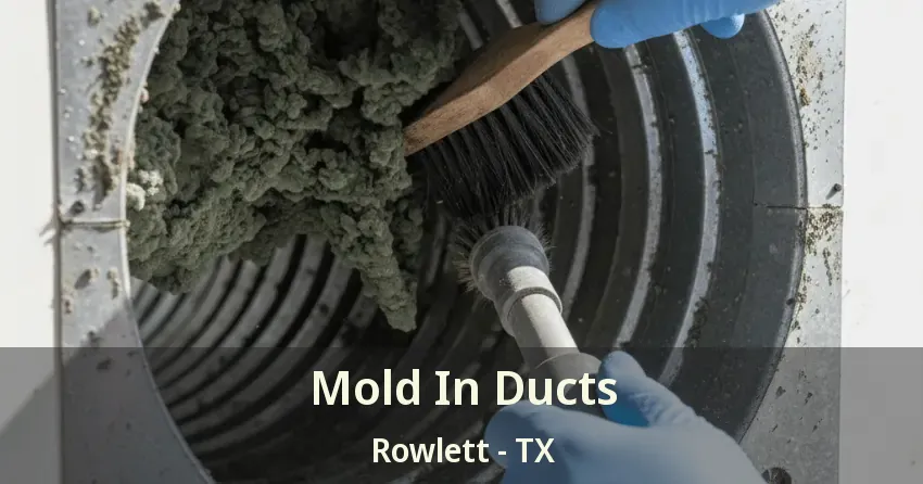 Mold In Ducts Rowlett - TX Mold In Ducts Rowlett - TX